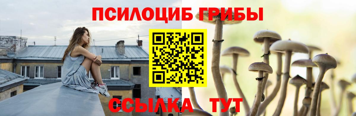 где продают наркотики  Вход с VPN  Бирск  Псилоцибиновые грибы Psilocybine cubensis 